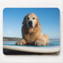Buscar golden retriever alfombrillas de raton Playa