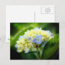 Buscar simplicidad postales Inspirador