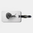 Buscar caracol etiquetas para maletas Molusco
