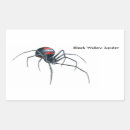 Buscar araña grande pegatinas Para niños
