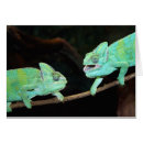 Buscar camaleón tarjetas Vida silvestre