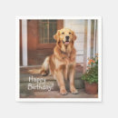 Buscar golden retriever servilletas Recuperador