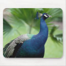 Buscar día del pavo electronica Animal