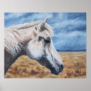 Buscar caballo árabe posters Animal