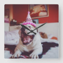 Buscar bulldog relojes de pared Fiesta