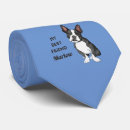 Buscar boston corbatas Terrier