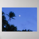 Buscar brillantemente posters Al aire libre