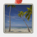 Buscar hamaca adornos Playa