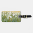 Buscar margaritas accesorios Primavera