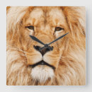 Buscar león africano relojes de pared Animal