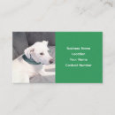 Buscar del perro tarjetas de visita Minimalista
