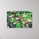Buscar bambi posters Naturaleza
