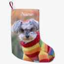 Buscar navidad canino Amante de los perros