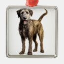 Buscar irish adornos Irlandés