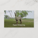 Buscar alpaca tarjetas de visita Llama