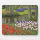 Buscar jacinto alfombrillas de raton Holanda