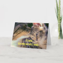 Buscar el besarse tarjetas Animales