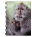 Buscar macaco Bosque
