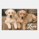 Buscar labrador pegatinas Cachorro