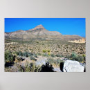 Buscar montañas nevadas posters Desierto