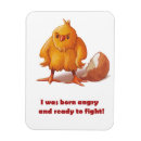 Buscar personalidades imanes Humor