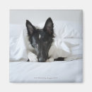 Buscar cama imanes Vertical