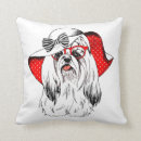 Buscar perro vestido cojines Divertido