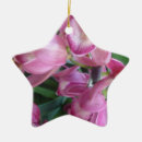 Buscar orquídea adornos Naturaleza