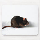 Buscar ratas alfombrillas de raton Negro