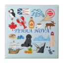 Buscar terranova azulejos Canadiense