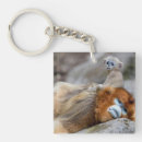 Buscar desnudos llaveros Vida silvestre