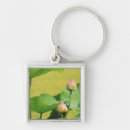 Buscar palacios llaveros Color