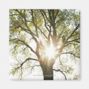 Buscar sunlit fotografía Paisaje