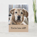 Buscar divertidas tarjetas de cumpleaños General y unisex