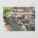 Buscar mapache lindo postales Animales del bosque