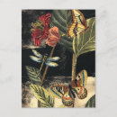 Buscar visión postales Mariposas