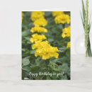 Buscar marismas tarjetas General y unisex