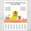 Buscar gato flyers Animales