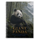 Buscar gigantes cuadernos Panda gigante