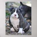 Buscar matones posters General y unisex