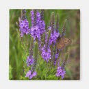 Buscar flower imanes Pradera