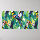 Buscar pájaros exóticos posters Patrón