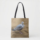 Buscar gaviotas bolsos Fotografía