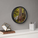 Buscar musgo relojes de pared Árbol