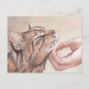 Buscar scratch postales 9 º gata