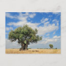 Buscar hojas cambiantes postales Árbol