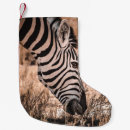 Buscar etosha Paisaje