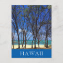 Buscar árbol frutal postales General y unisex