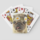 Buscar pug barajas de cartas Adorable