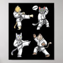 Buscar kata posters Taekwondo